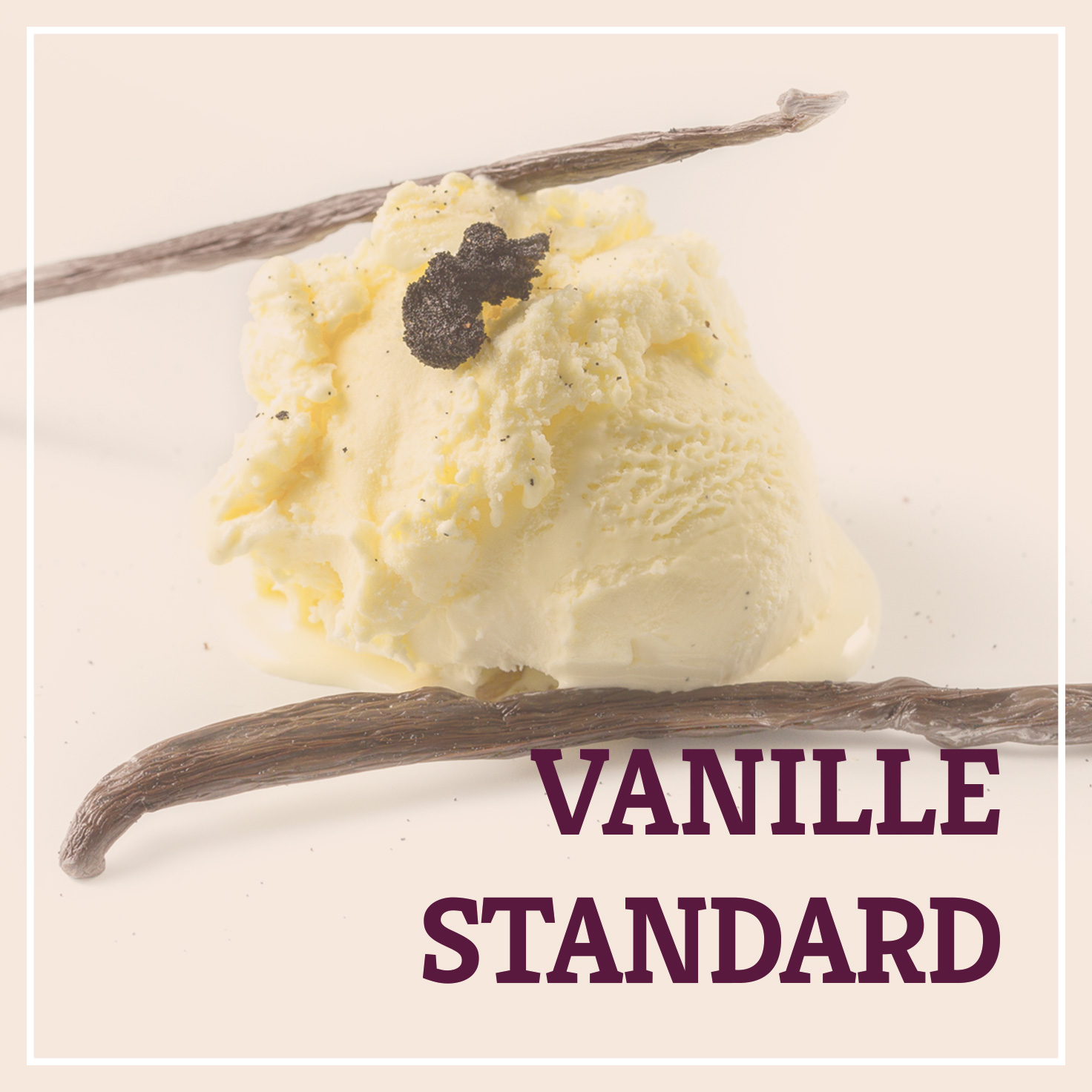 Heiss & Süß - Vanille-Standard