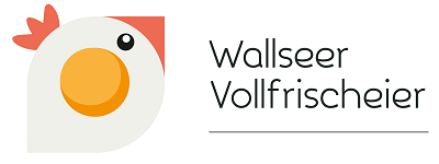 Logo Wallseer